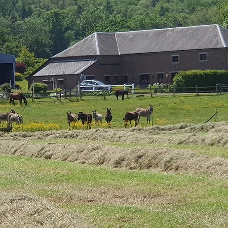 Saint-Hilaire-sur-Helpe Les Mout'Anes Bed & Breakfast エクステリア 写真