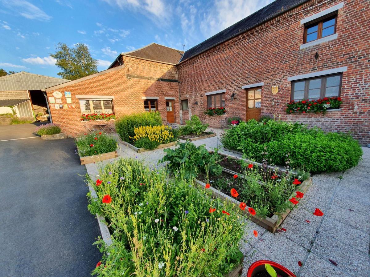 Saint-Hilaire-sur-Helpe Les Mout'Anes Bed & Breakfast エクステリア 写真