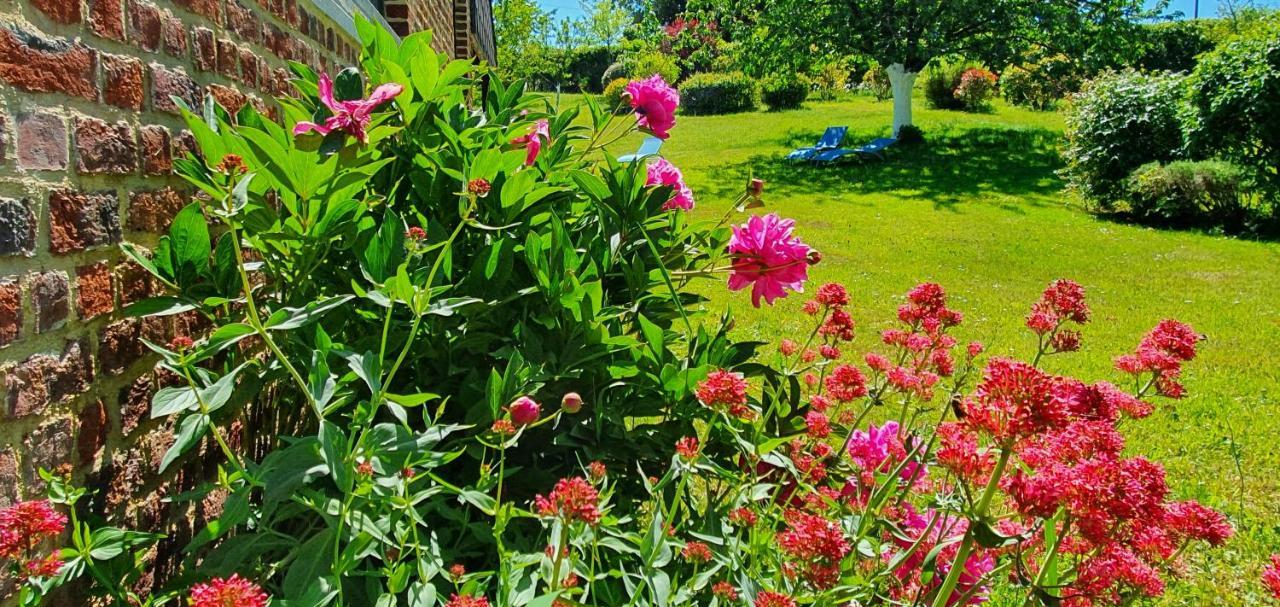 Saint-Hilaire-sur-Helpe Les Mout'Anes Bed & Breakfast エクステリア 写真