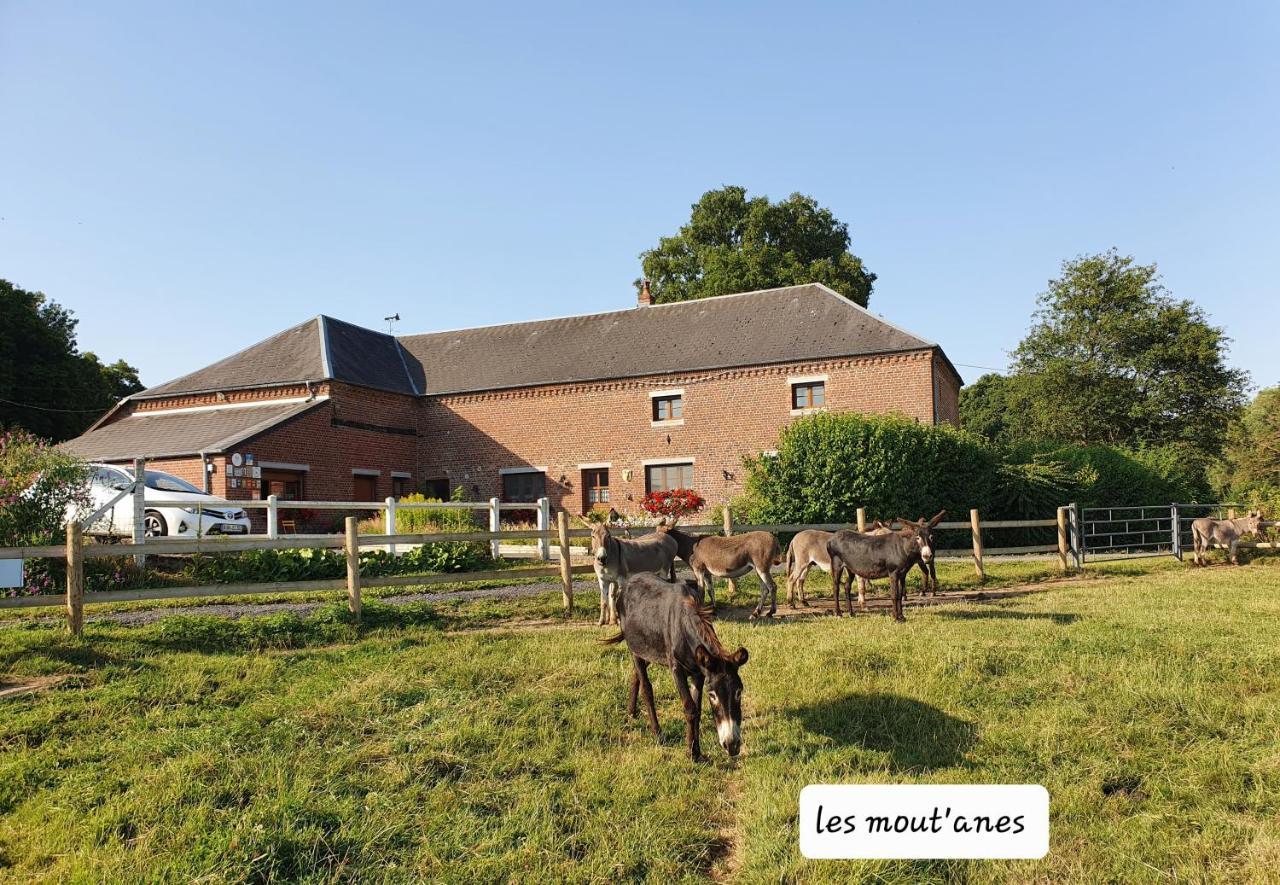Saint-Hilaire-sur-Helpe Les Mout'Anes Bed & Breakfast エクステリア 写真