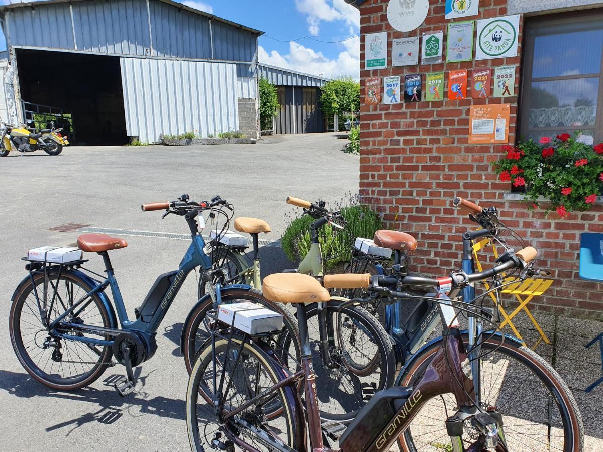 Saint-Hilaire-sur-Helpe Les Mout'Anes Bed & Breakfast エクステリア 写真