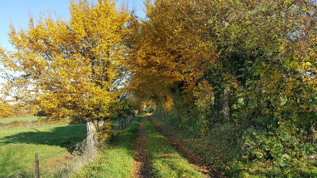 Saint-Hilaire-sur-Helpe Les Mout'Anes Bed & Breakfast エクステリア 写真
