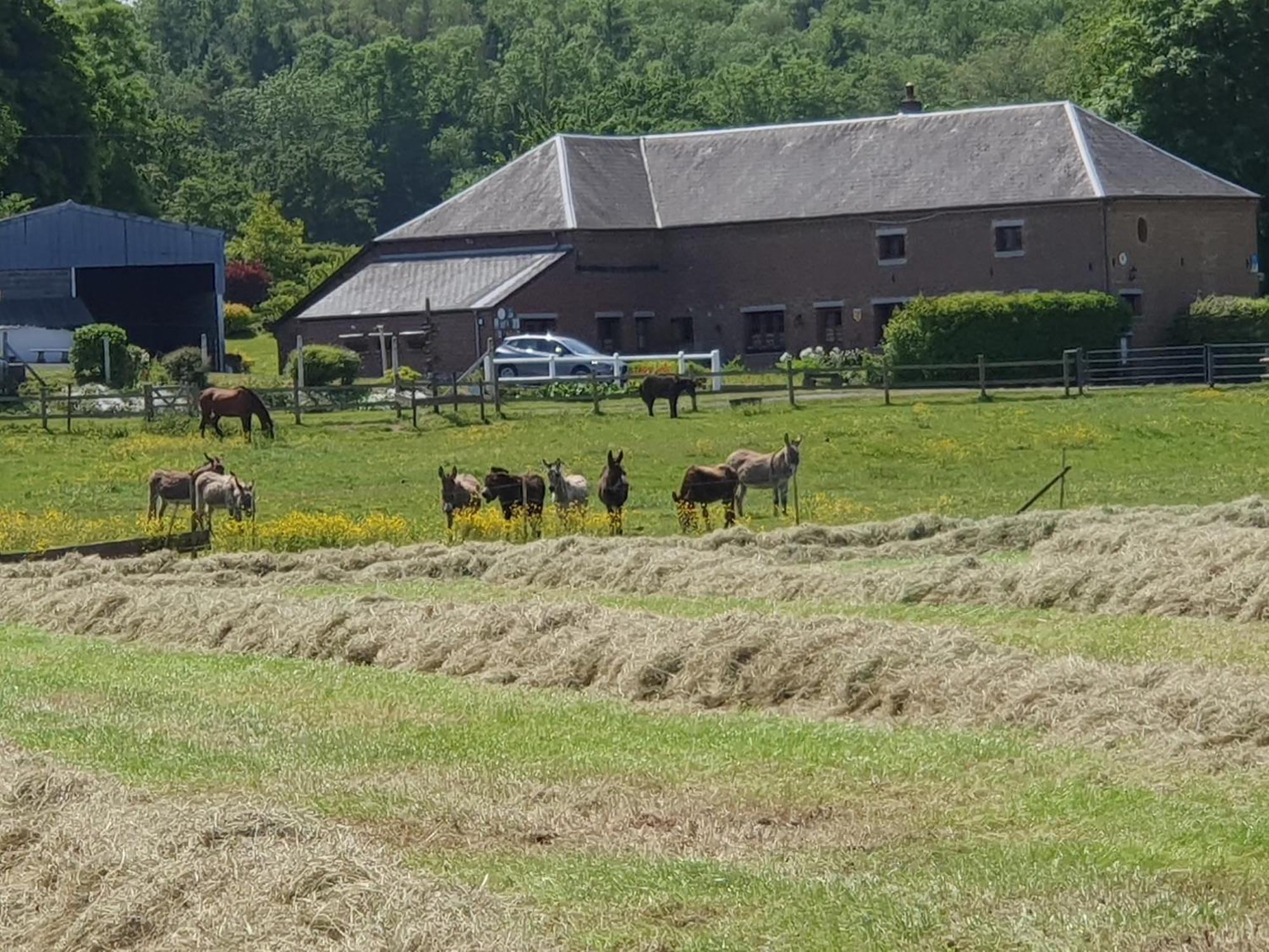 Saint-Hilaire-sur-Helpe Les Mout'Anes Bed & Breakfast エクステリア 写真