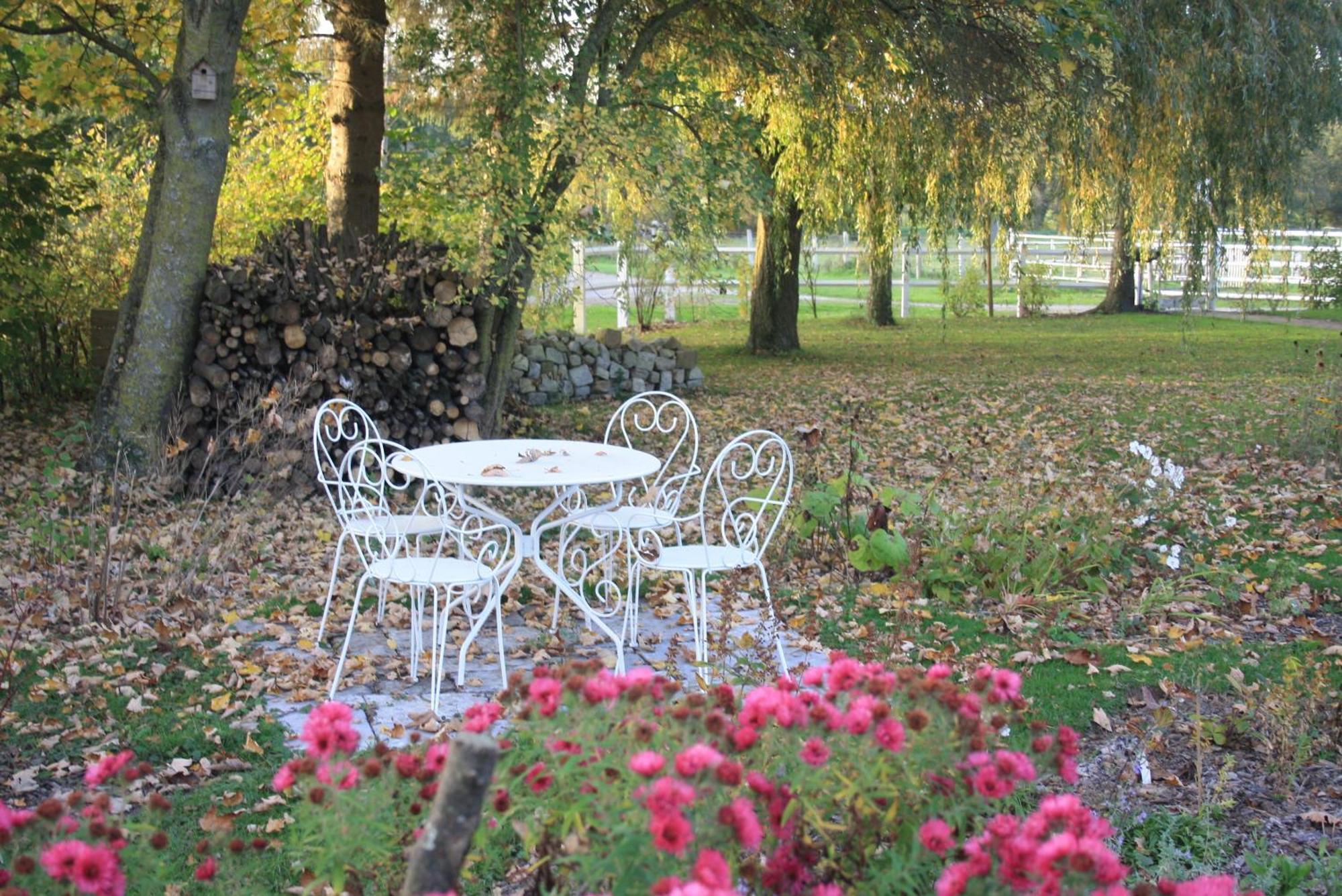 Saint-Hilaire-sur-Helpe Les Mout'Anes Bed & Breakfast エクステリア 写真