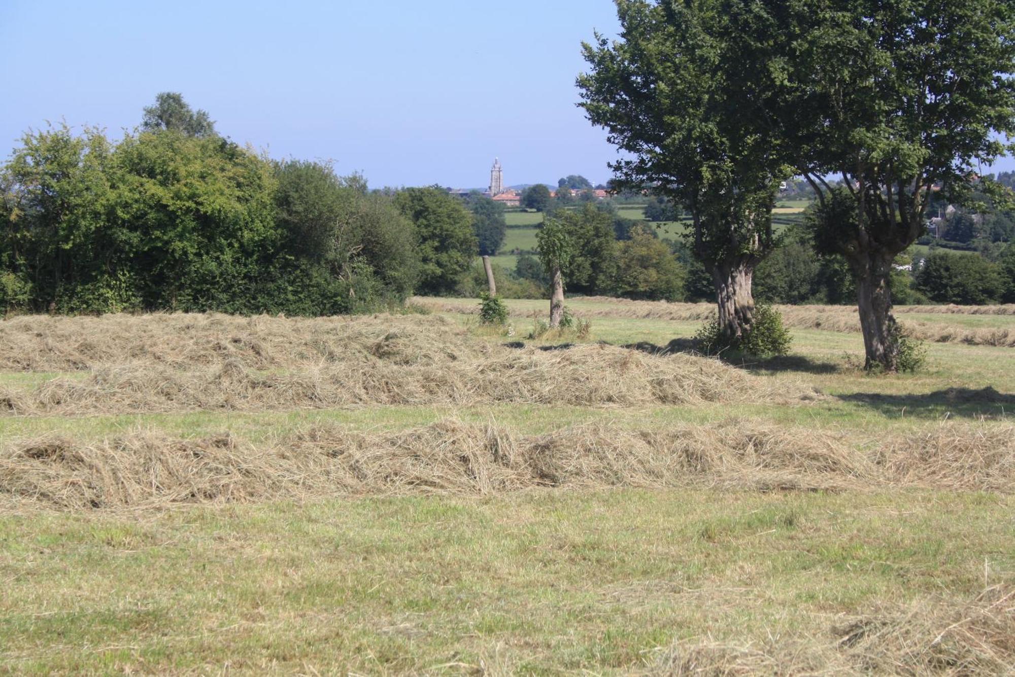 Saint-Hilaire-sur-Helpe Les Mout'Anes Bed & Breakfast エクステリア 写真