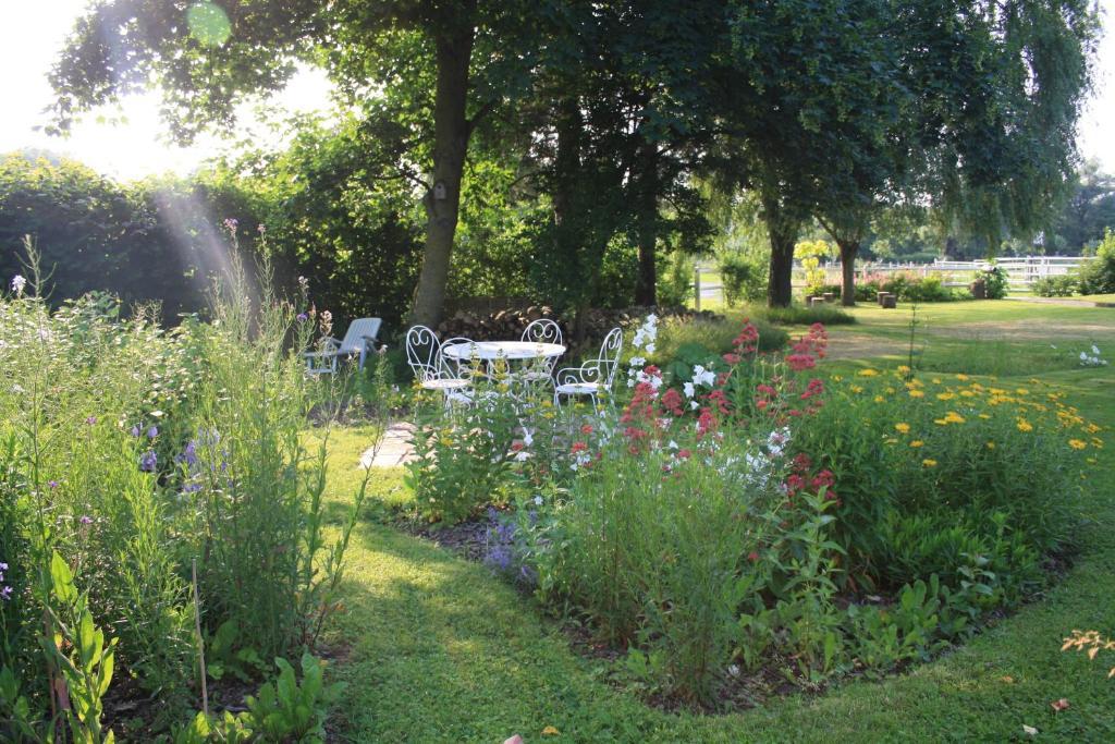 Saint-Hilaire-sur-Helpe Les Mout'Anes Bed & Breakfast エクステリア 写真