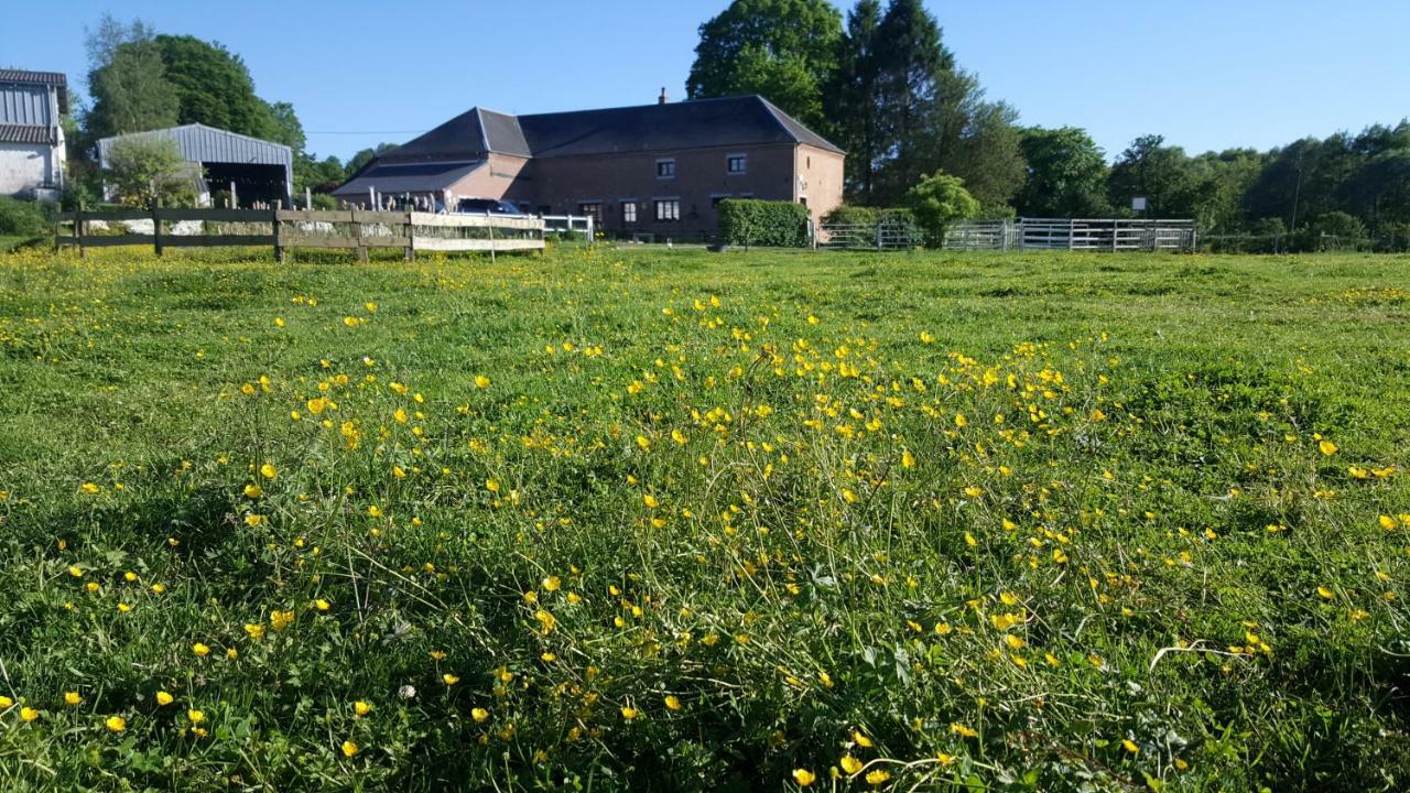 Saint-Hilaire-sur-Helpe Les Mout'Anes Bed & Breakfast エクステリア 写真