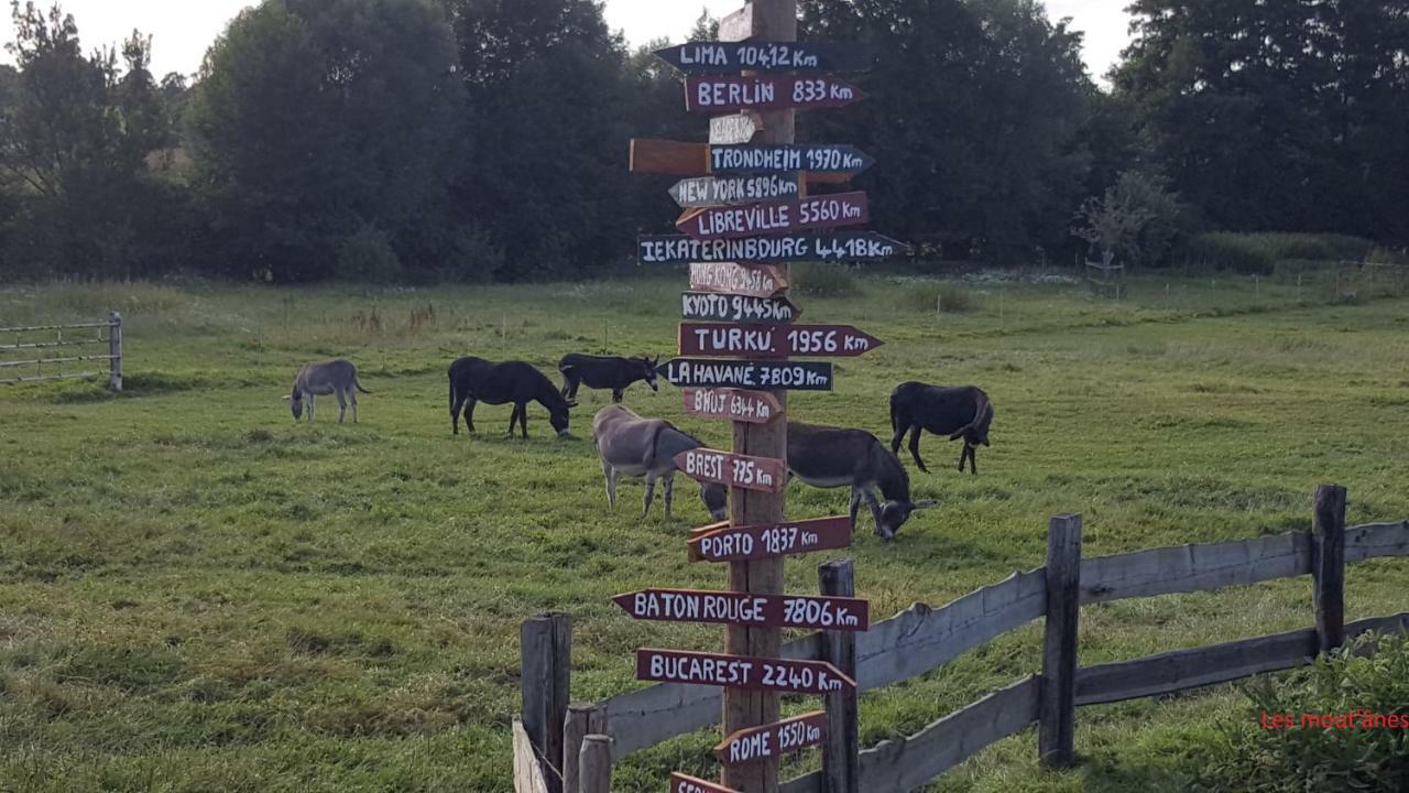 Saint-Hilaire-sur-Helpe Les Mout'Anes Bed & Breakfast エクステリア 写真