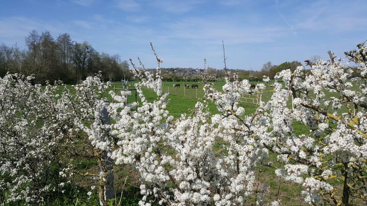 Saint-Hilaire-sur-Helpe Les Mout'Anes Bed & Breakfast エクステリア 写真